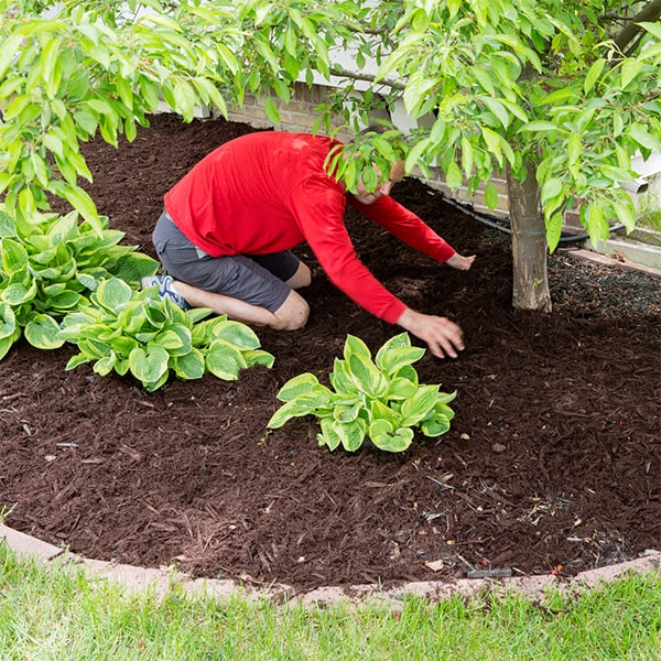 there are various materials such as wood chips, bark, and straw that can be used for mulch installation